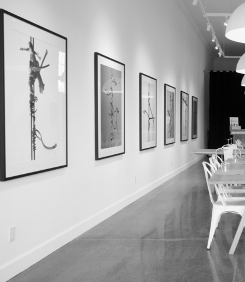 CAMi Gallery photo 4