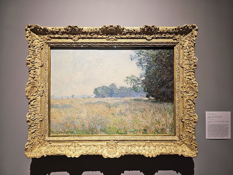 Harn Museum of Art photo 3