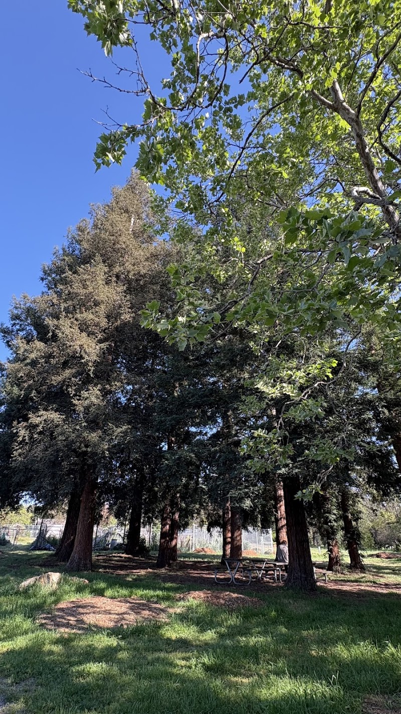 Markham Regional Arboretum photo 5