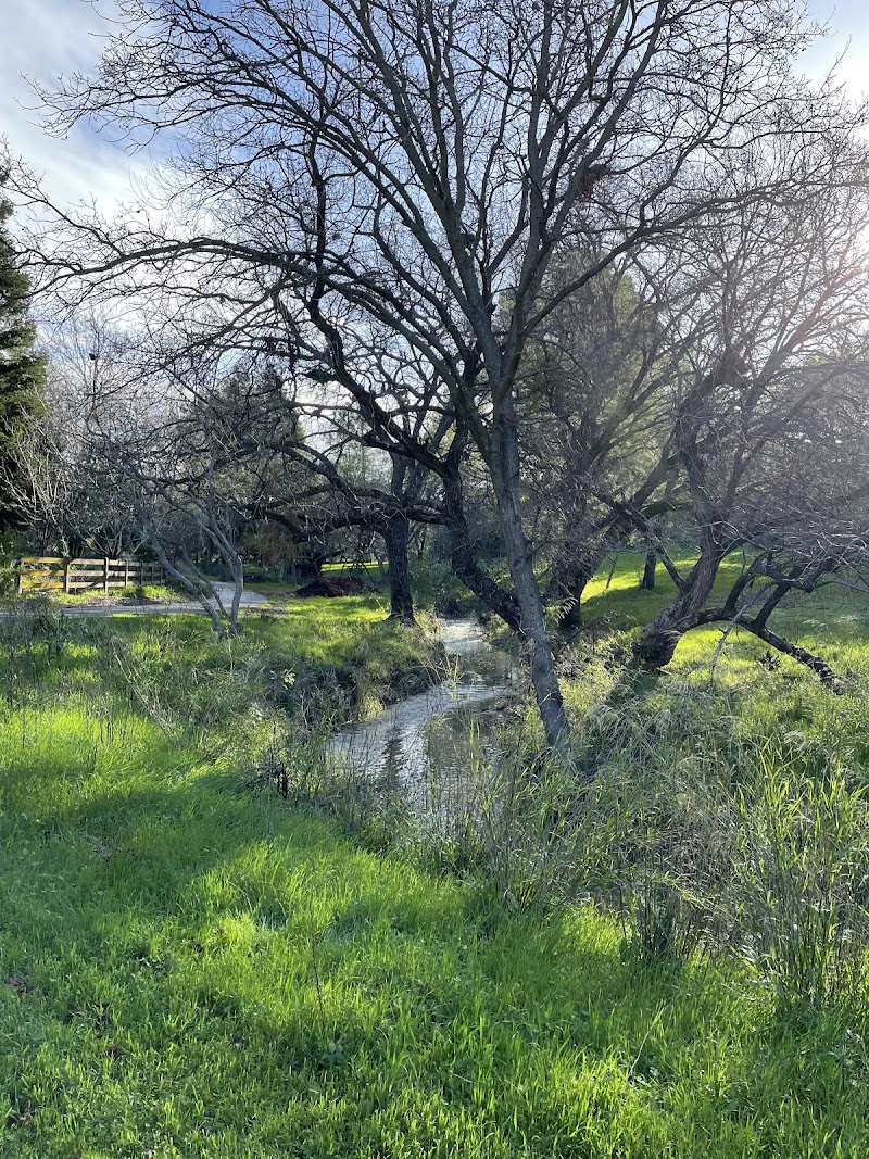 Markham Regional Arboretum photo 3
