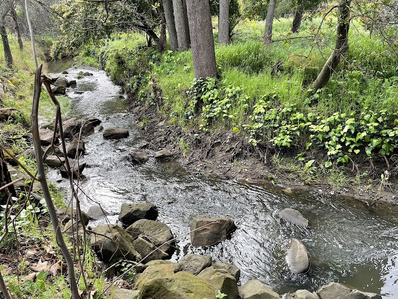 Markham Regional Arboretum photo 4