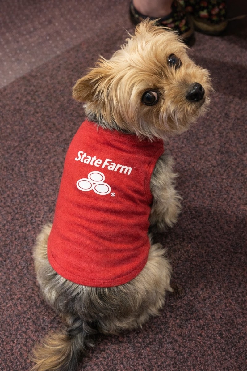 Craig Ichiuji - State Farm Insurance Agent photo 2