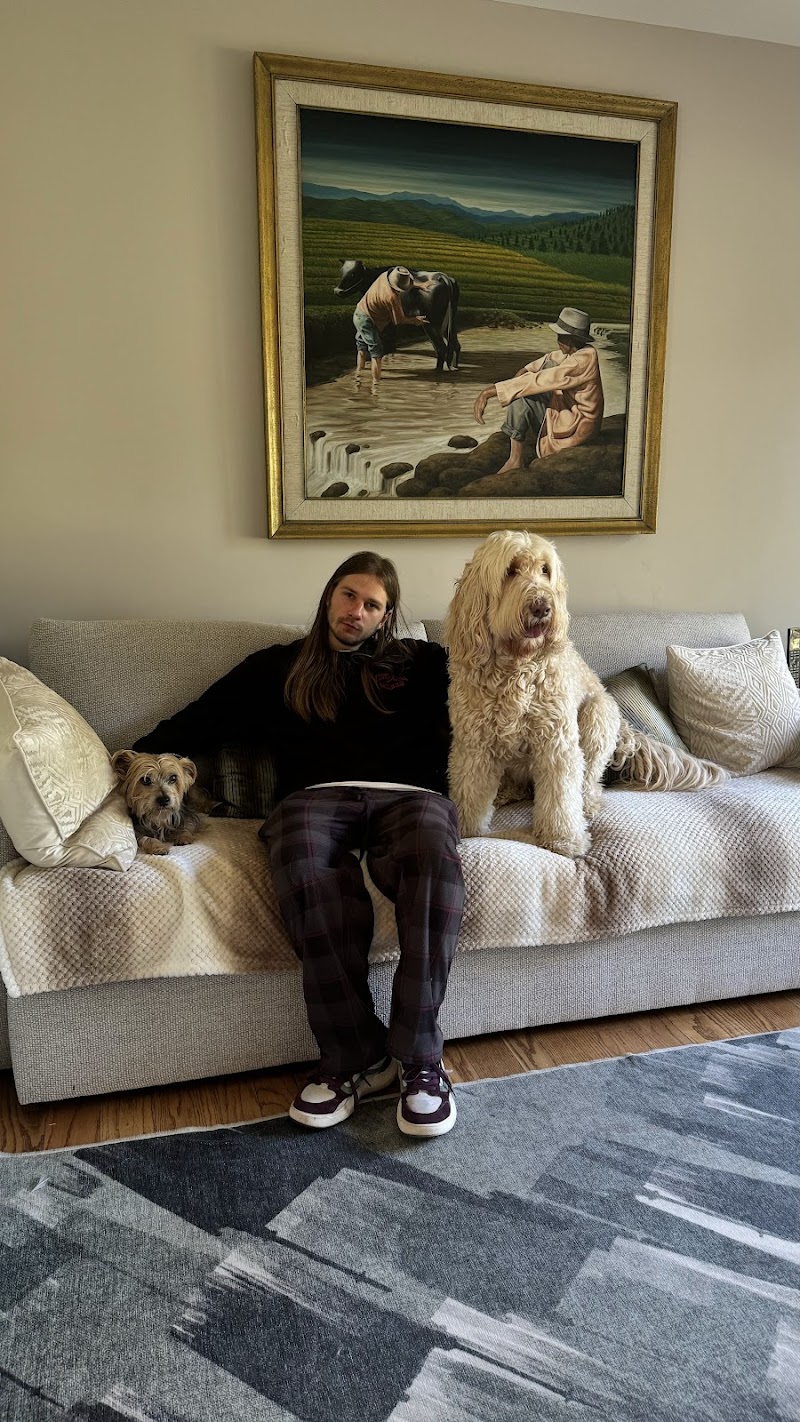 Photo of Good Dog Walkers