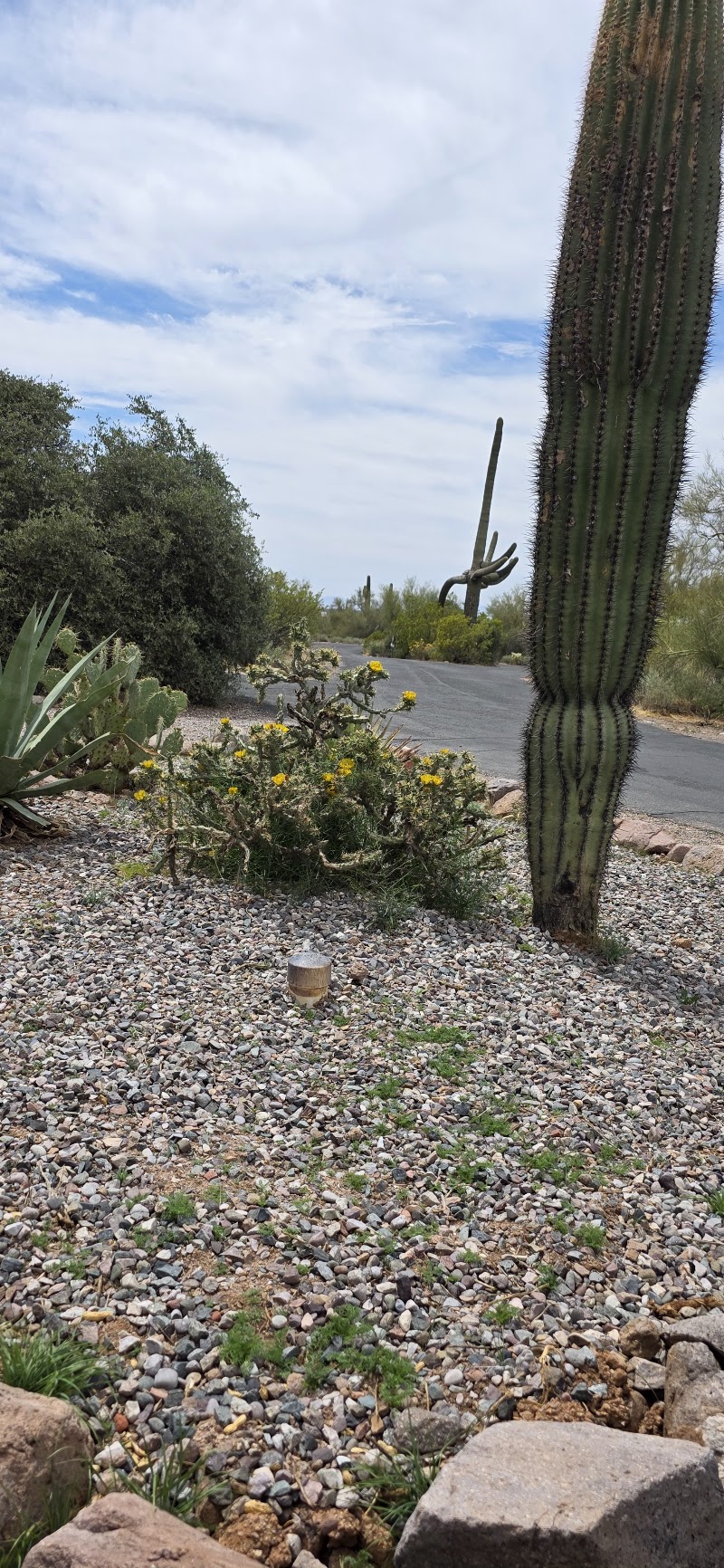 Lost Dutchman Heliport photo 4