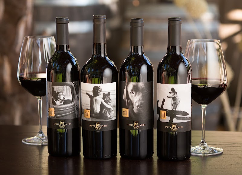 Mutt Lynch Winery photo 3