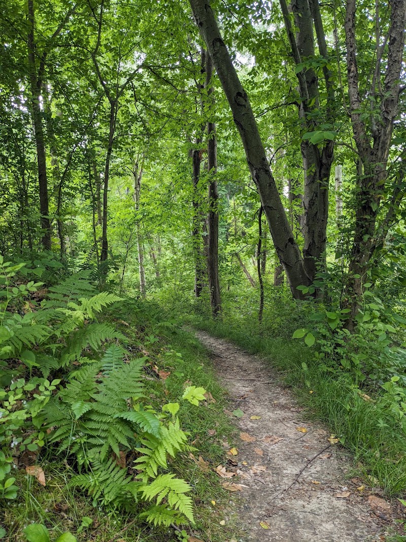 Whiting Road Nature Preserve photo 2