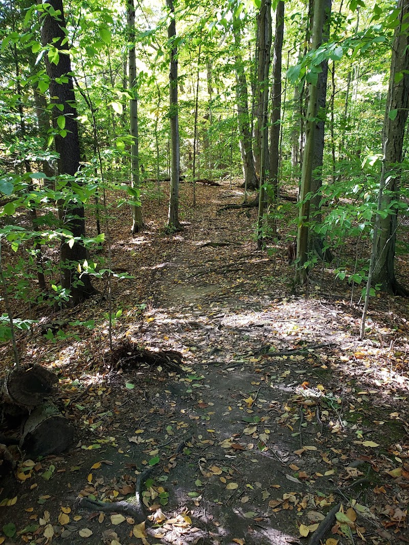 Photo of Whiting Road Nature Preserve