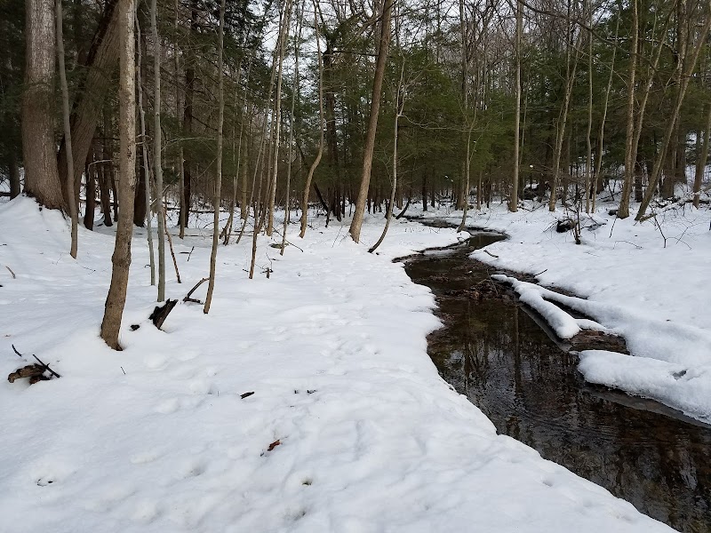 Whiting Road Nature Preserve photo 4
