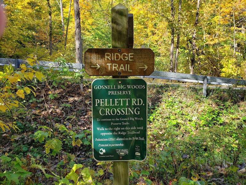 Whiting Road Nature Preserve photo 5
