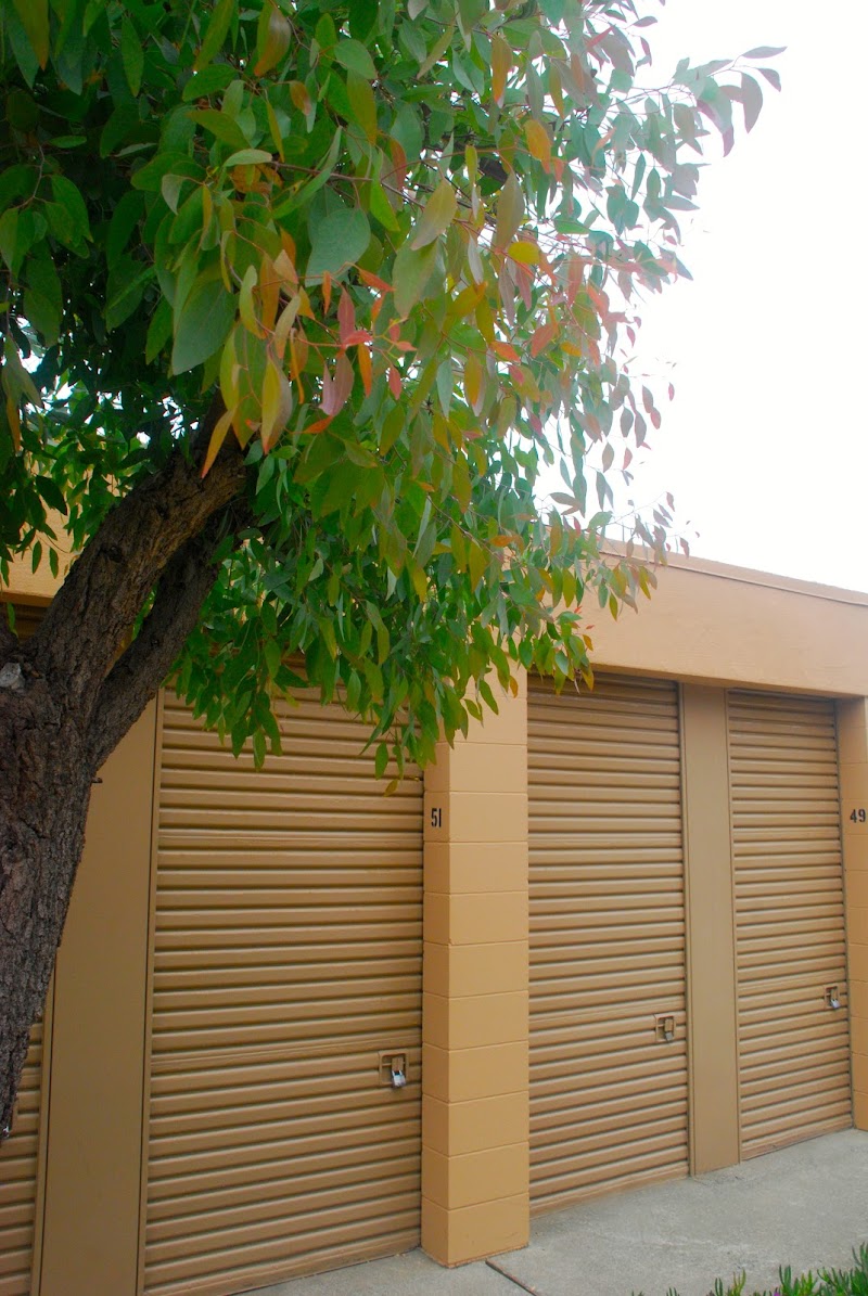 Pacific Self Storage photo 4