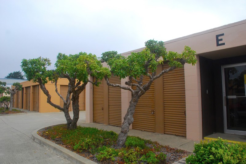 Pacific Self Storage photo 2