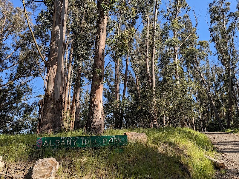 Photo of Albany Hill Park