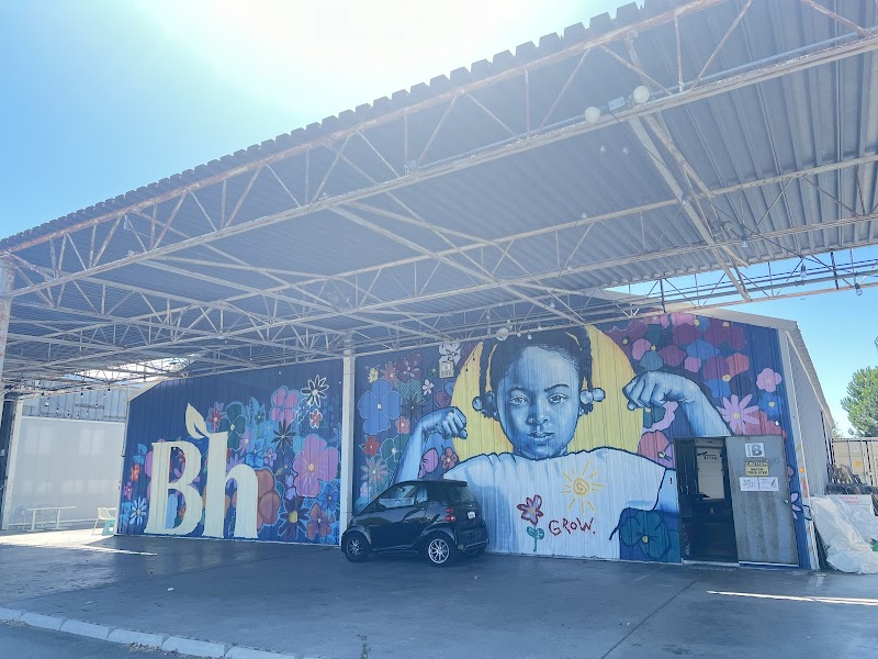 Photo of Bloomhouse