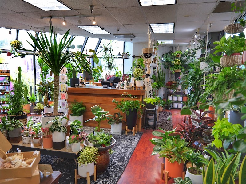 SF Plants photo 3