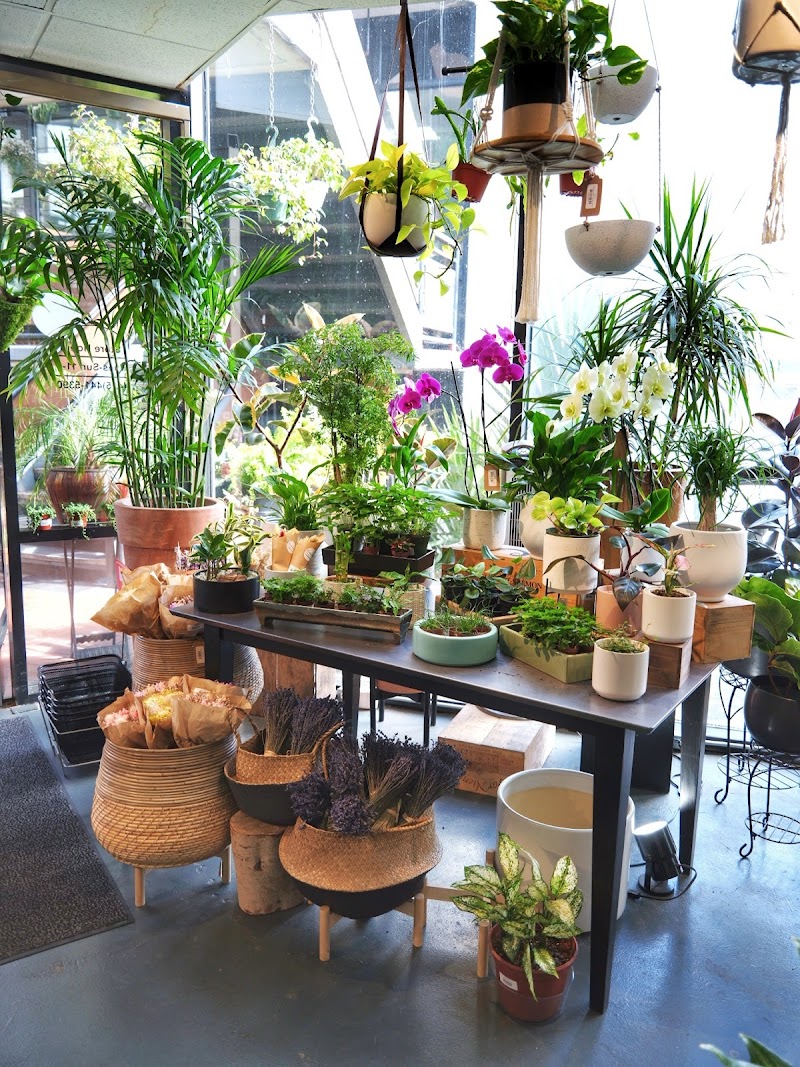 SF Plants photo 2