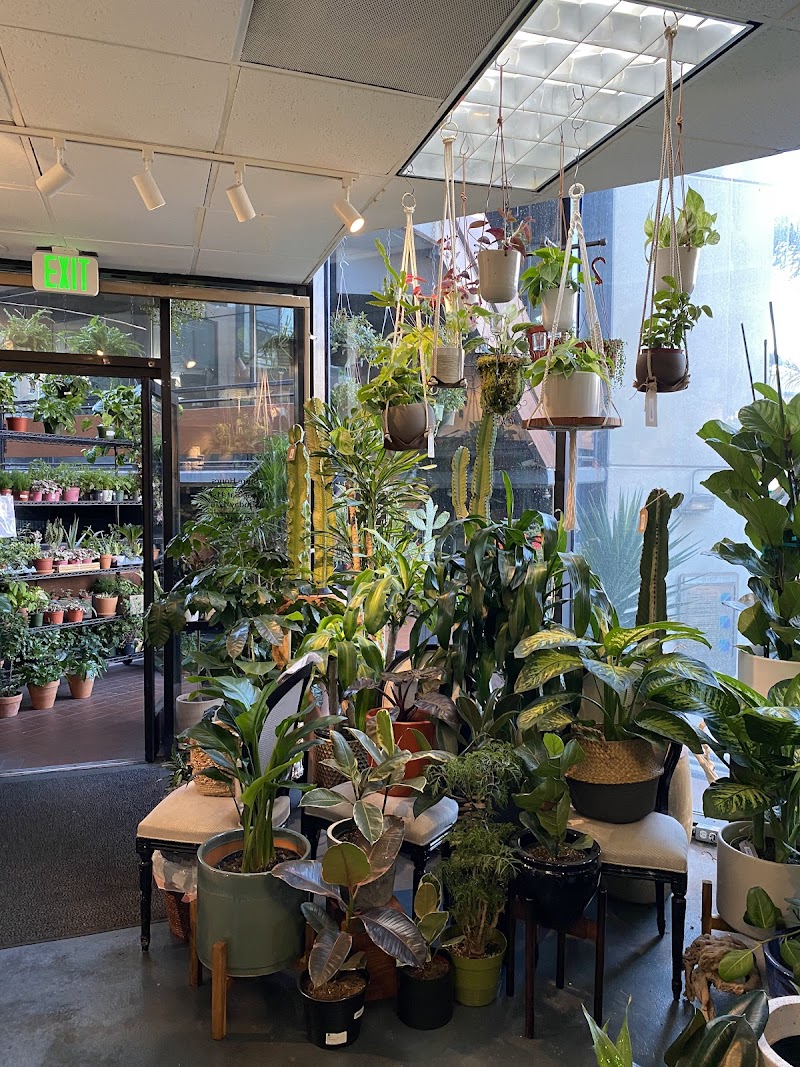 SF Plants photo 5