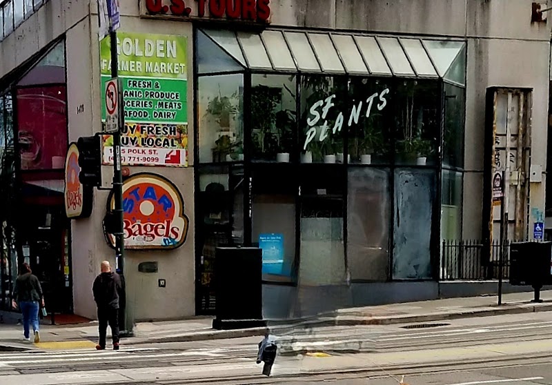 Photo of SF Plants