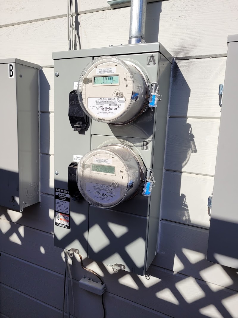 yck electric photo 4
