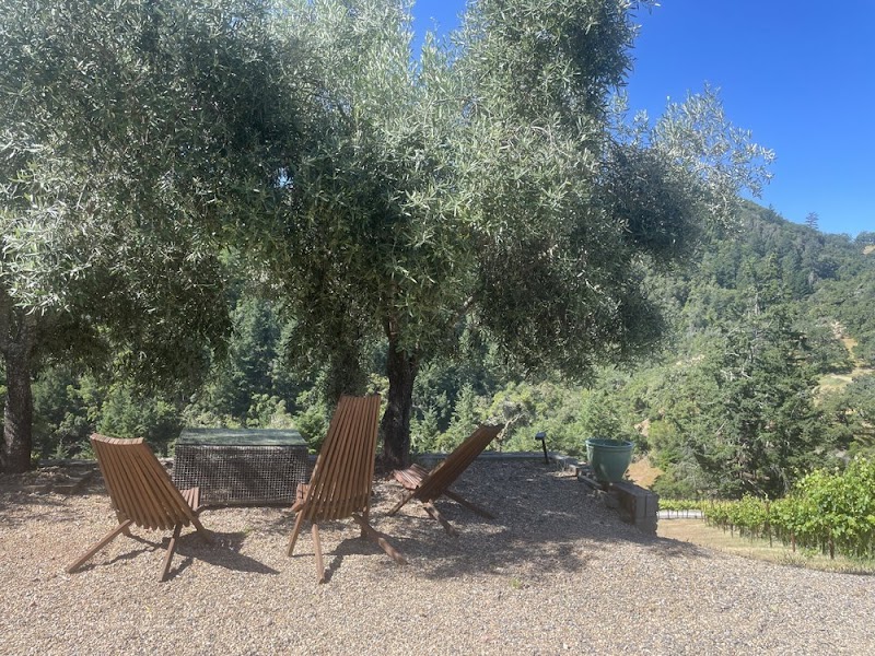 Cù Dona Vineyard and Winery photo 3