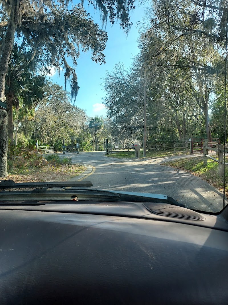 Lithia photo 2