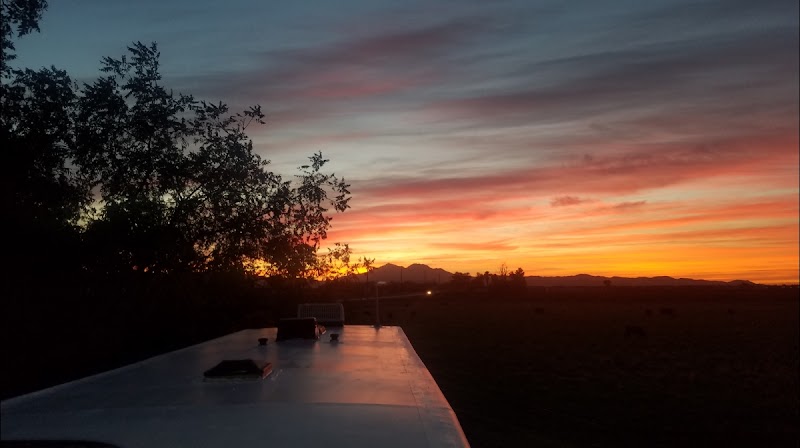 Photo of DELTA RV SERVICES