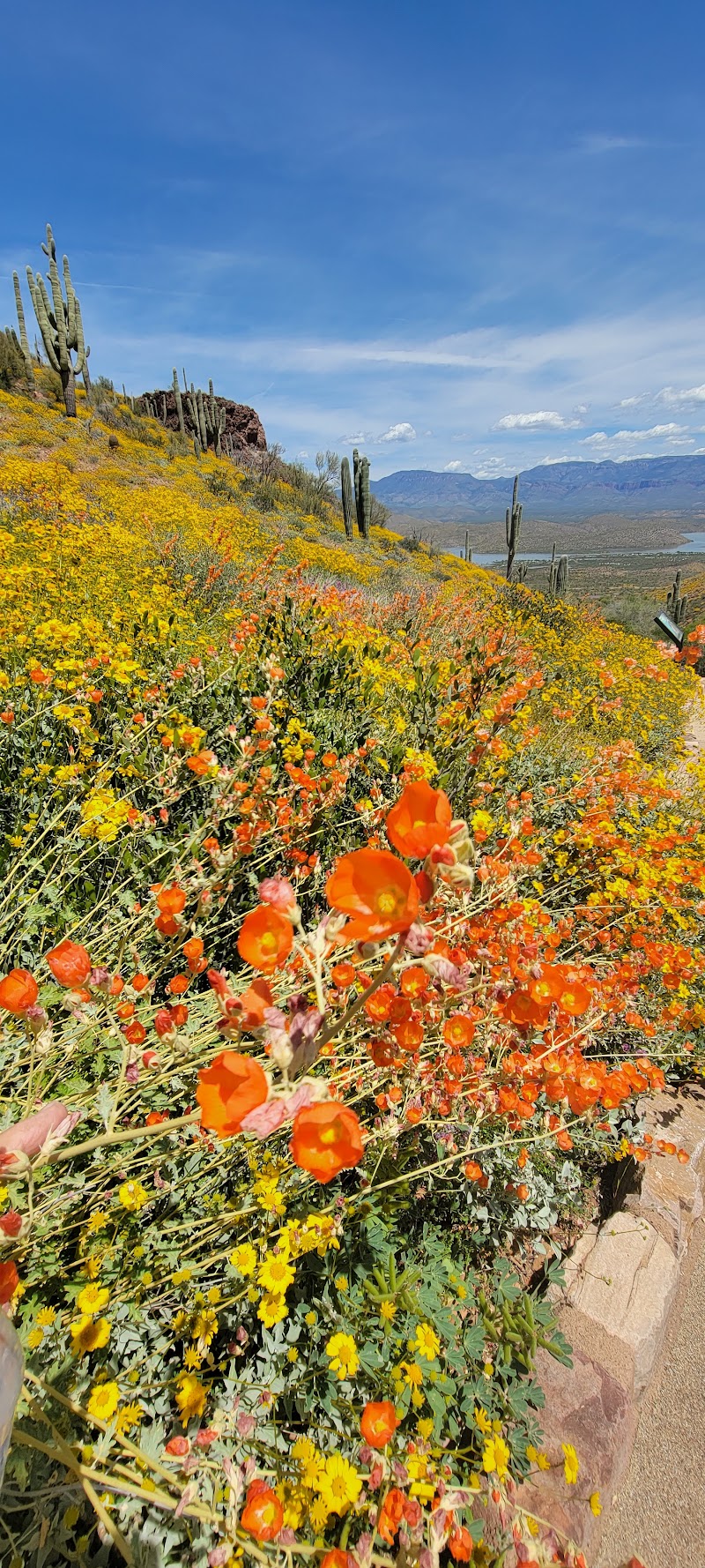 Tonto National Monument Visitor Center photo 5