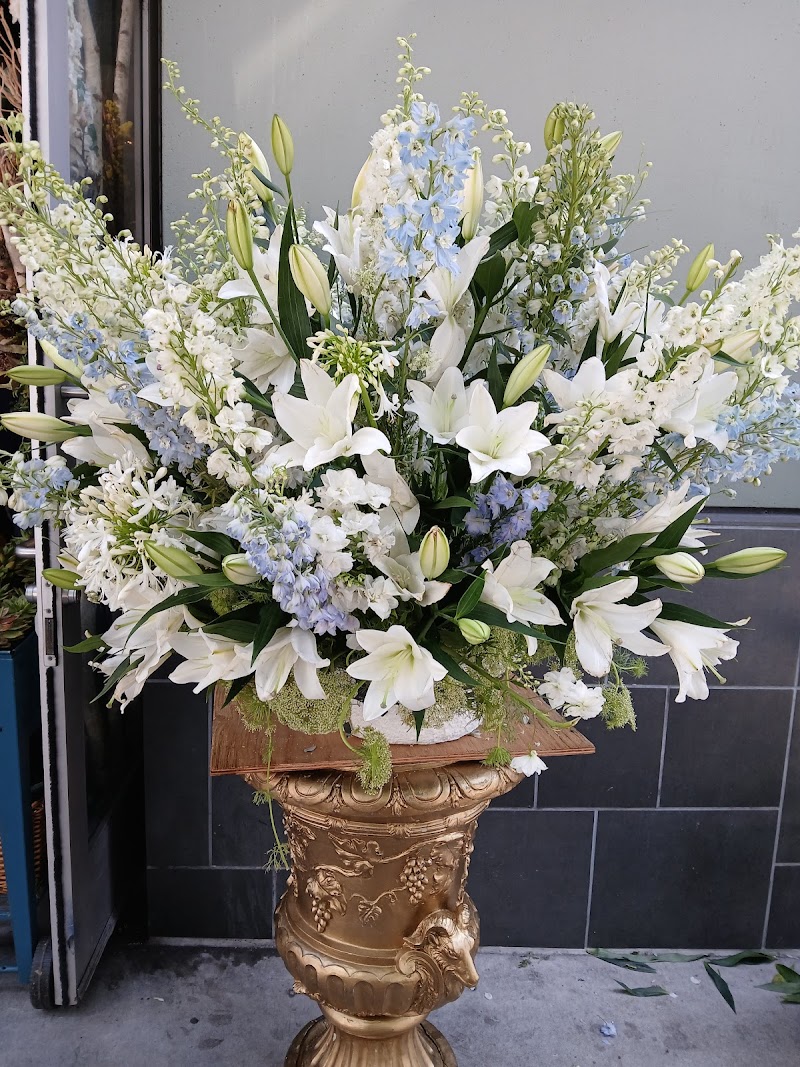 Flowers Shop Rodriguez photo 5