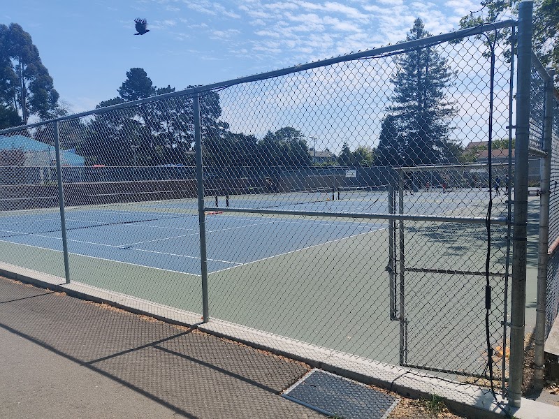 Cedar Rose Park Tennis Courts photo 2