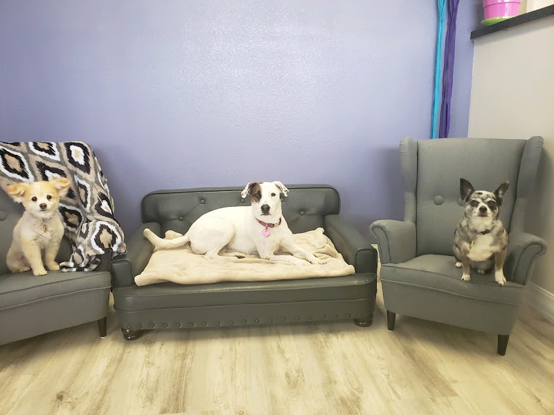Photo of Mama Bear's Bed & Biscuit
