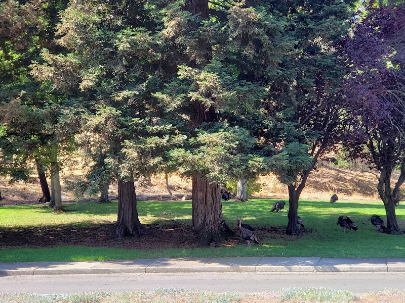 Foxboro Park photo 3