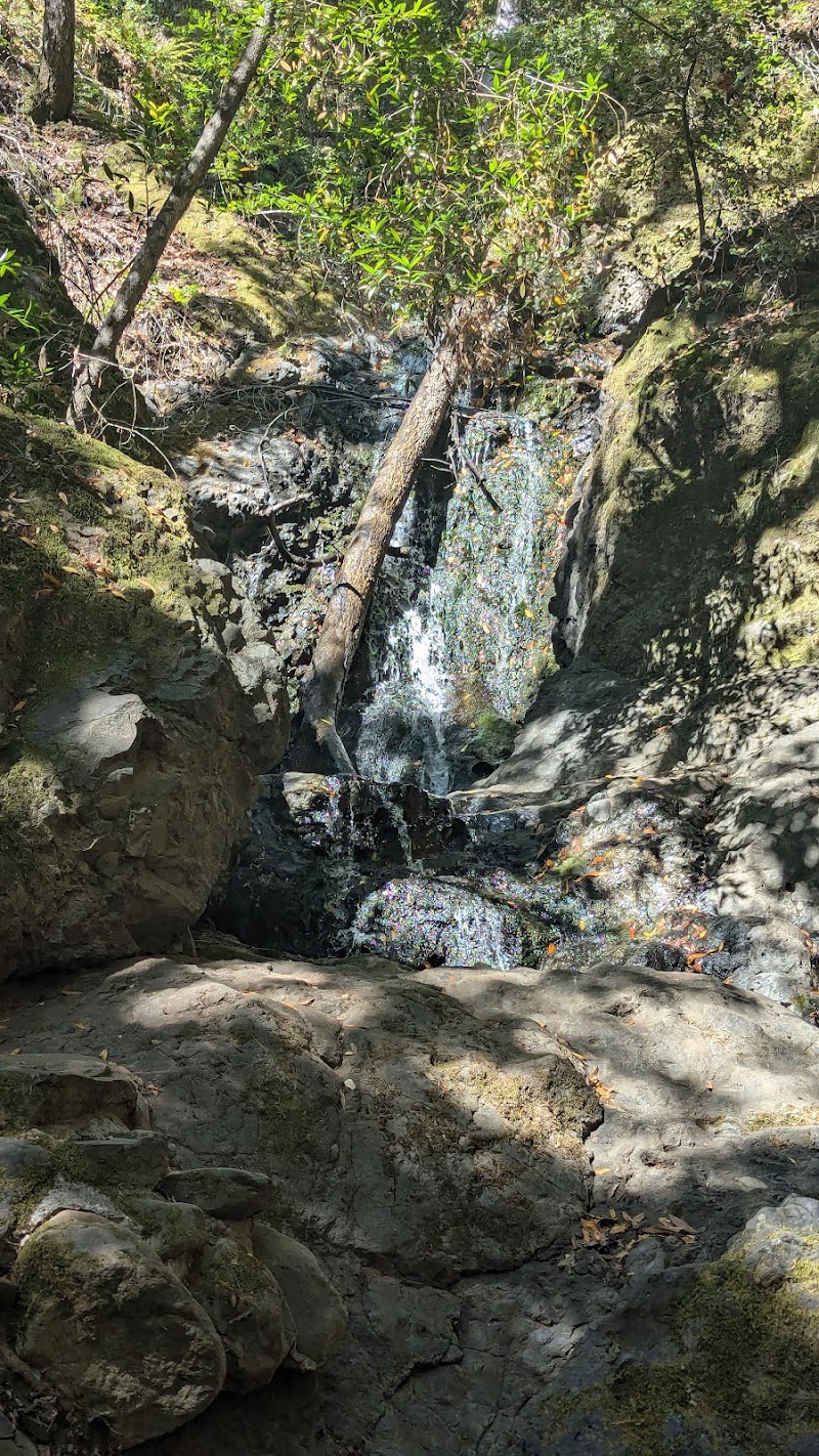 Photo of Uvas Campground