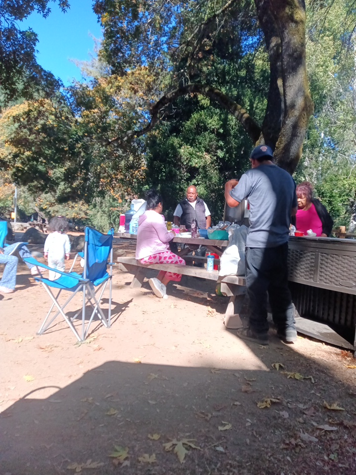 Uvas Campground photo 5