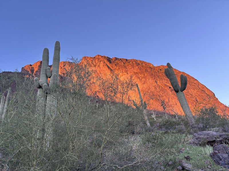 Picacho State Park Visitor Center photo 3
