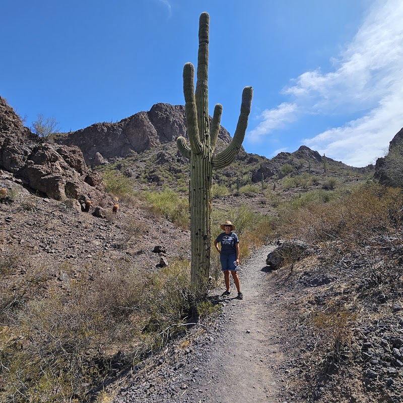 Photo of Picacho State Park Visitor Center