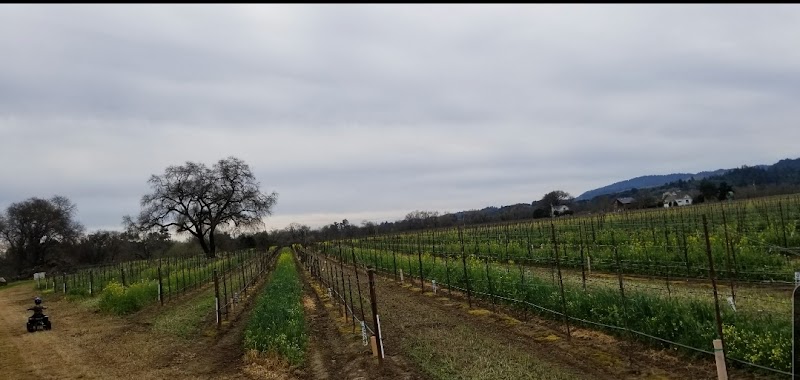 Photo of Massoni Ranch