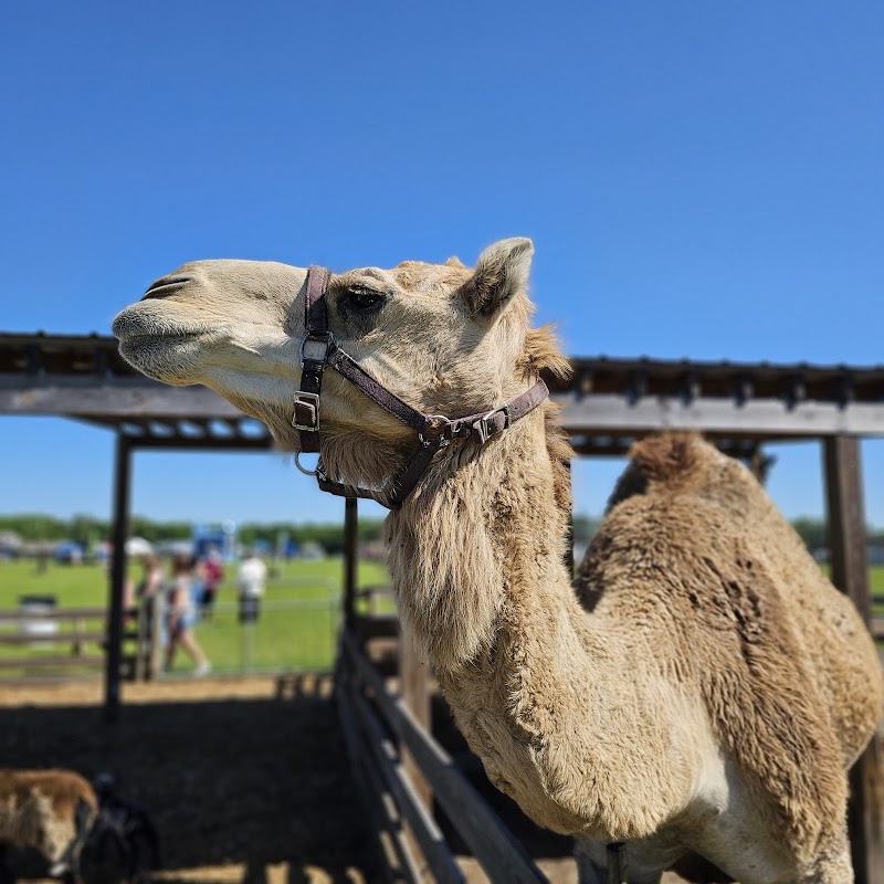 Dade City Farms photo 2