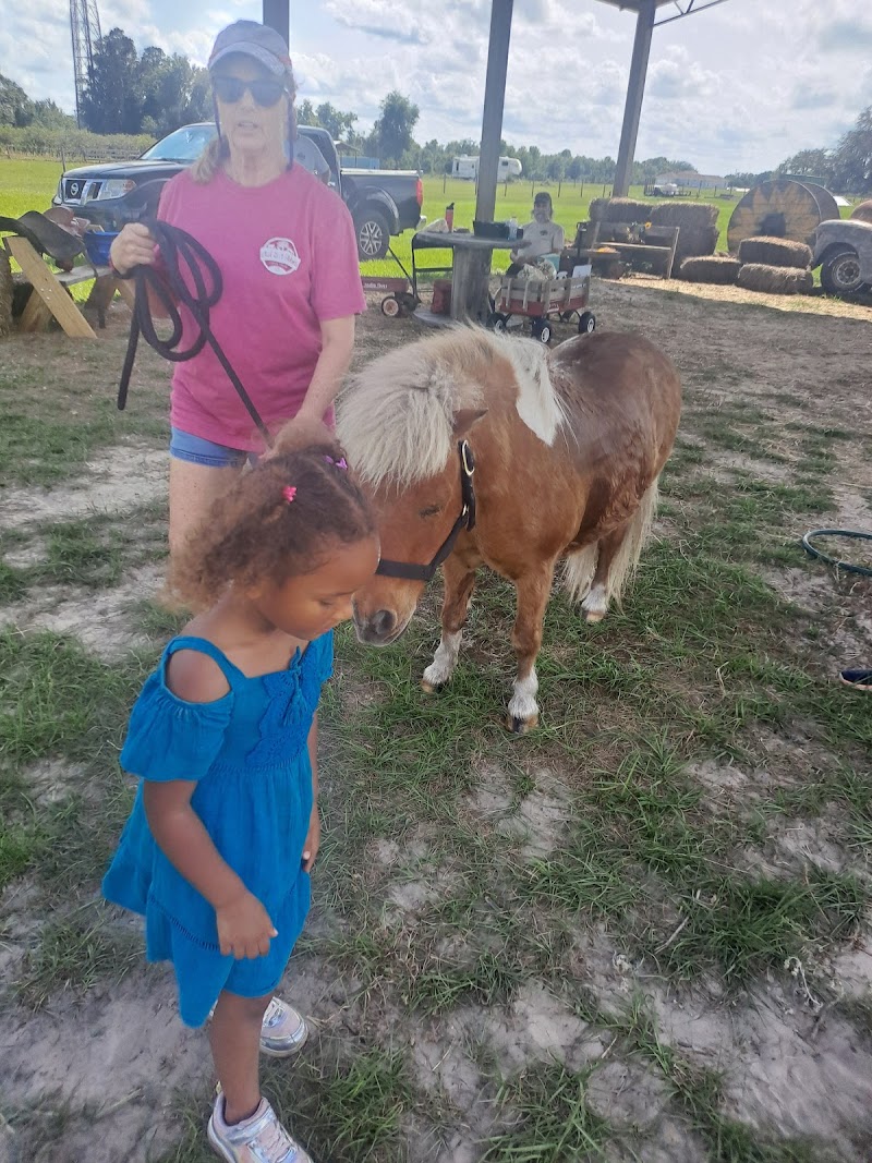 Dade City Farms photo 5