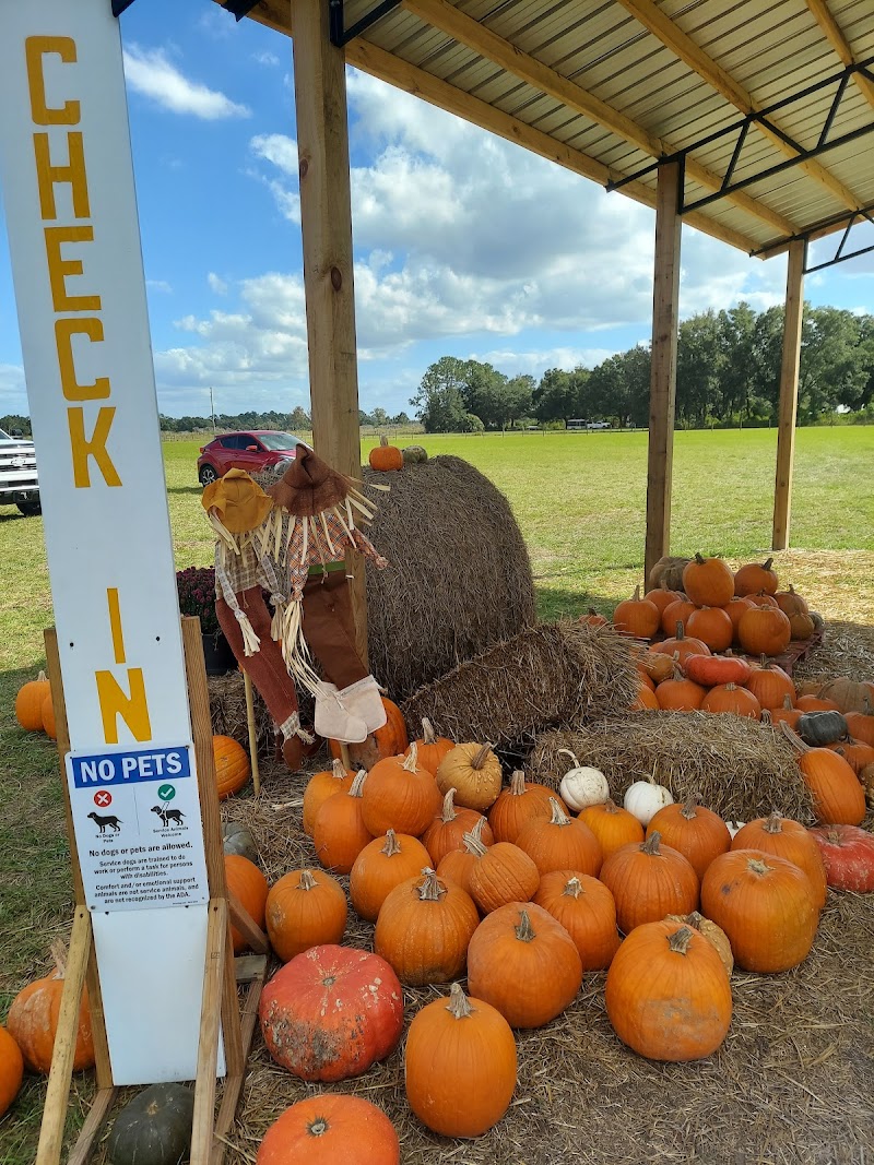 Dade City Farms photo 4