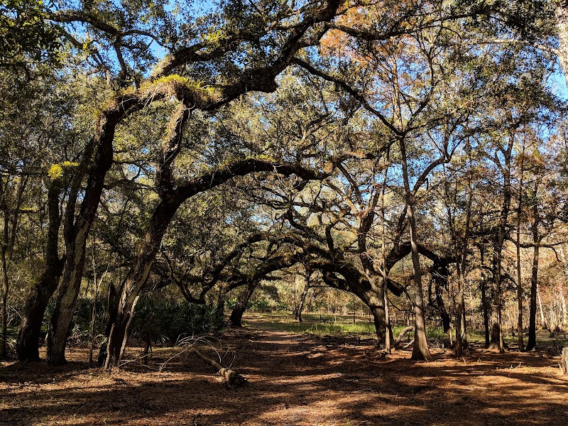 Photo of Withlacoochee State Trail