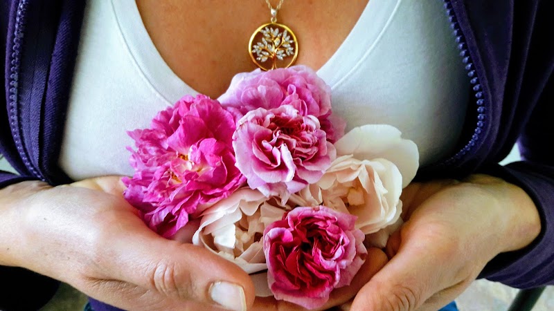 Biophilia Botanicals photo 5