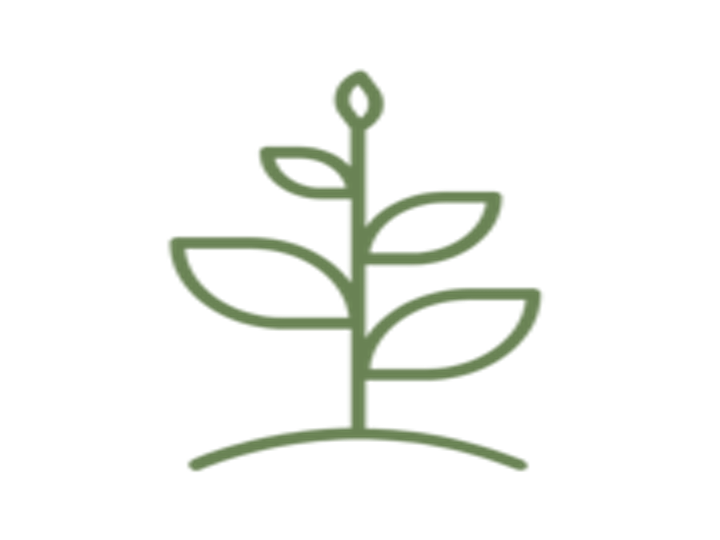 Photo of Schonfield Consulting
