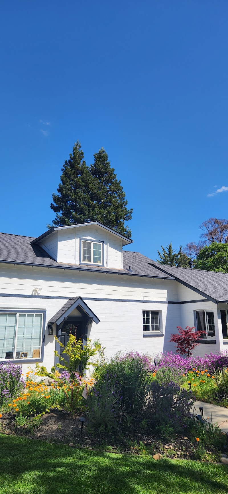 All n All Roofing photo 4