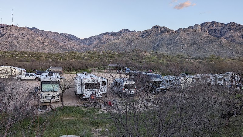 Photo of Ringtail Group Area