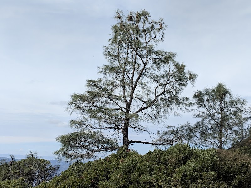 Mount Diablo Interpretive Association photo 2