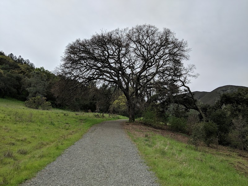 Mount Diablo Interpretive Association photo 3