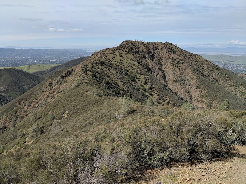 Photo of Mount Diablo Interpretive Association