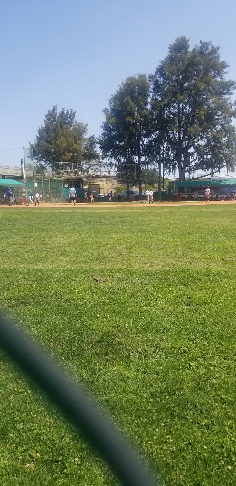 Photo of San Mateo Little League American