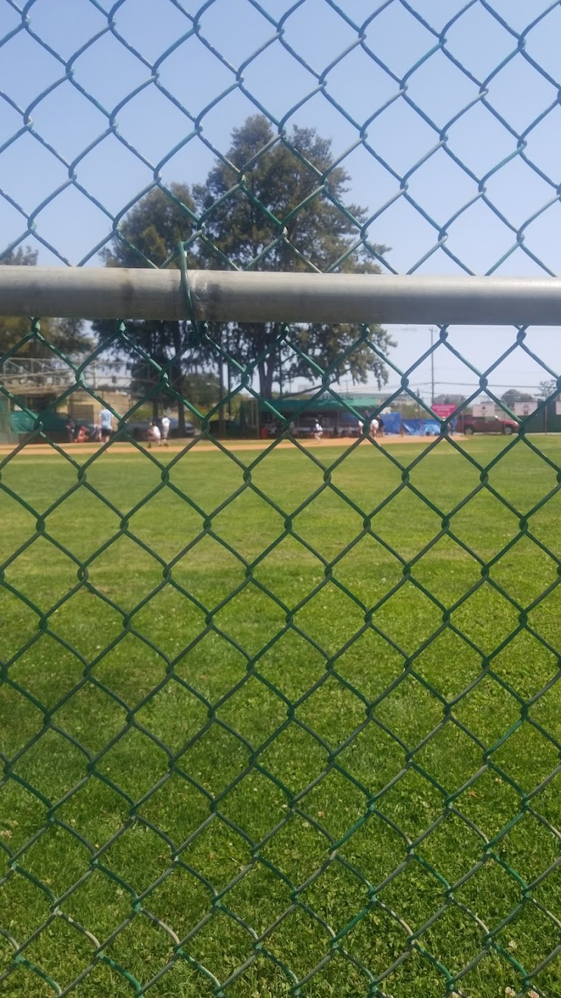 San Mateo Little League American photo 3