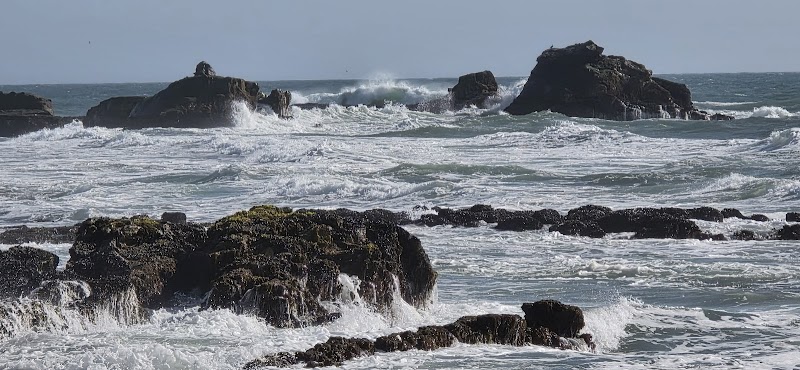 Photo of Pillar Point State Marine Conservation Area