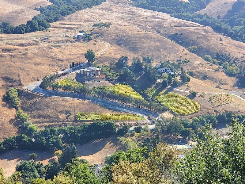 Photo of Rigg Estate Vineyards